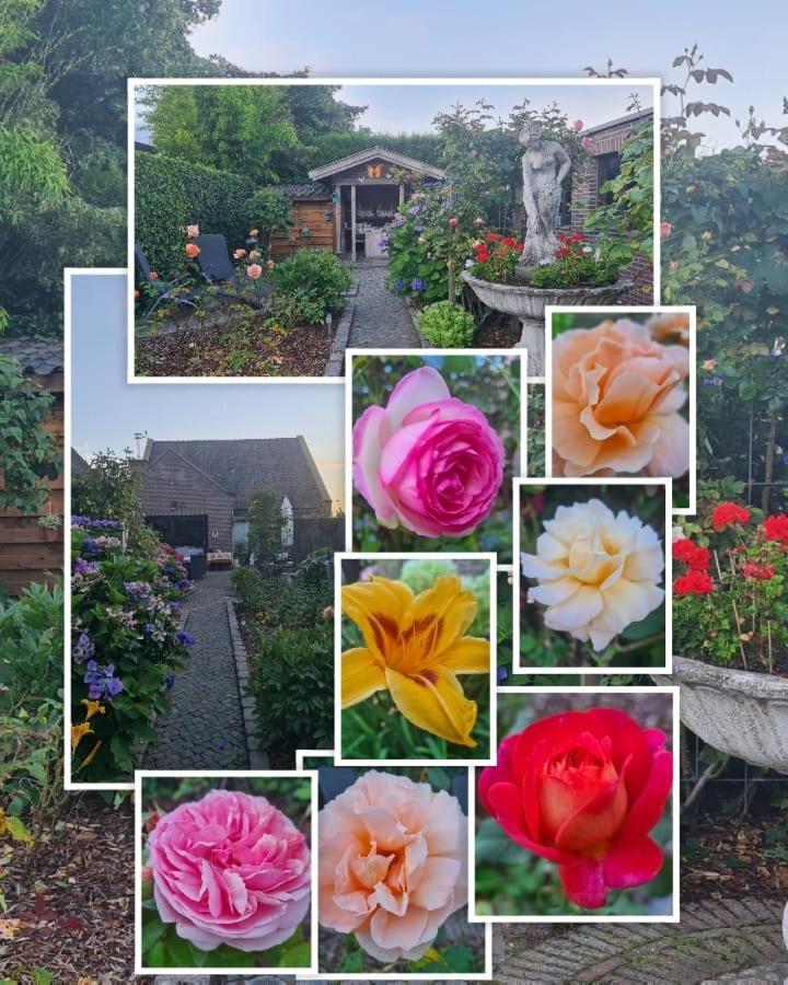 La Rose Bed & Breakfast NeerNeerpelt Exterior foto