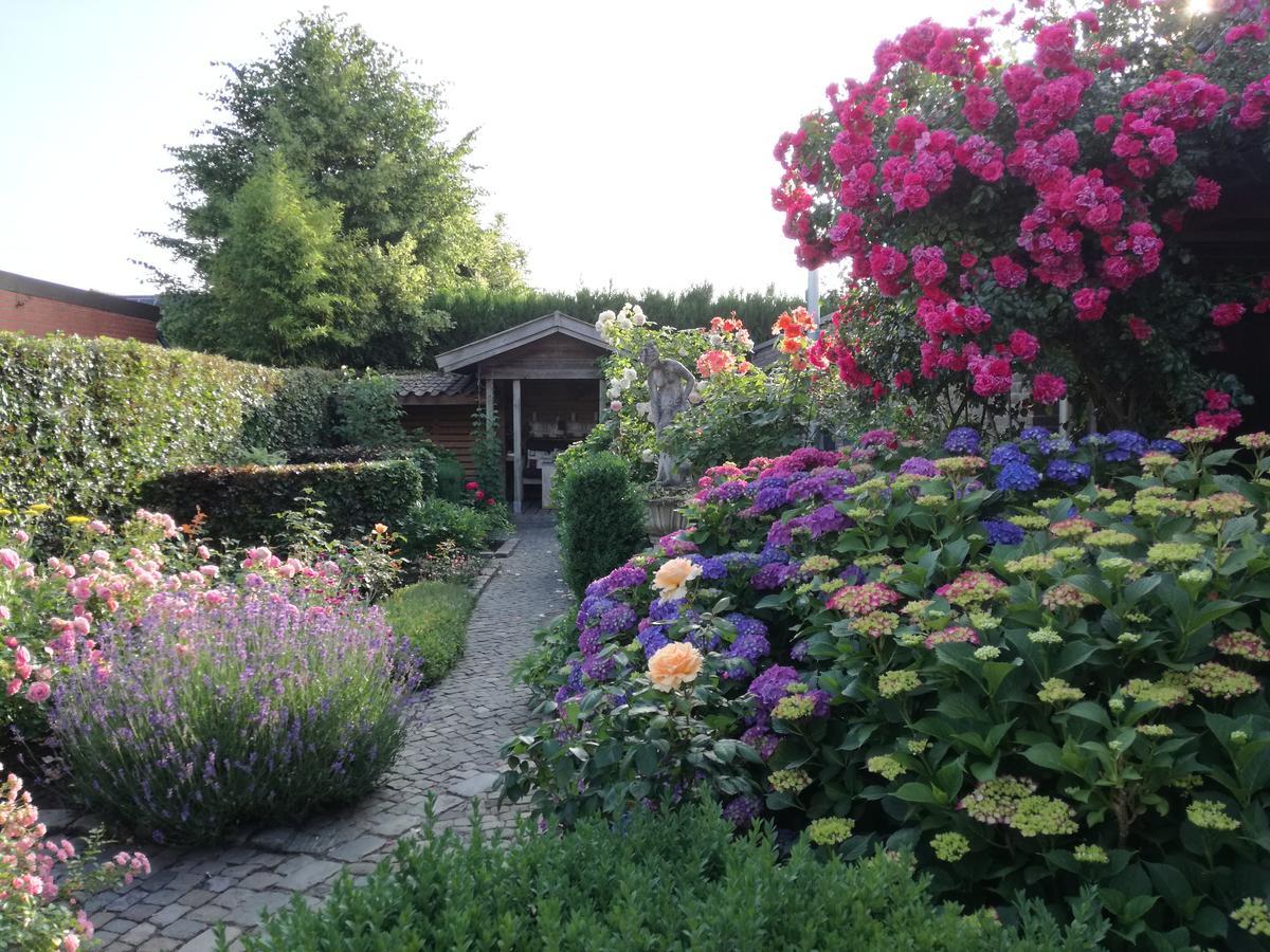 La Rose Bed & Breakfast NeerNeerpelt Exterior foto