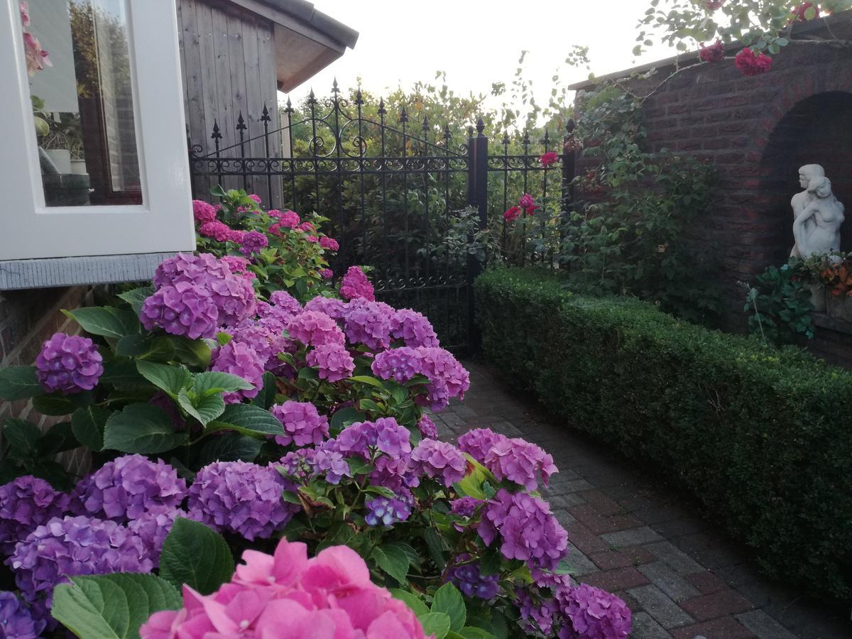 La Rose Bed & Breakfast NeerNeerpelt Exterior foto